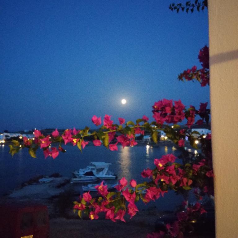 Hotel Bocamviglies By The Sea Naoussa Esterno foto