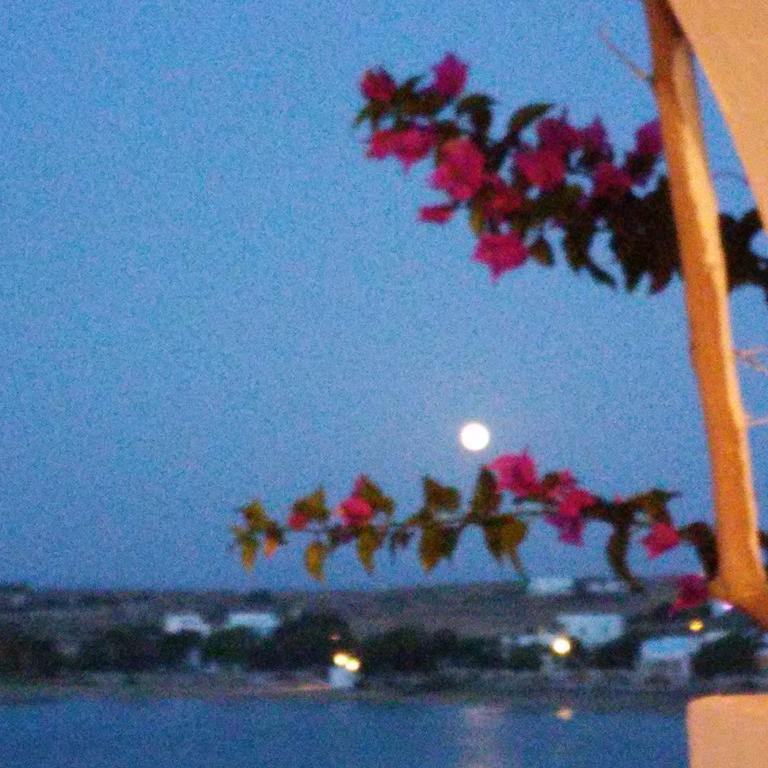Hotel Bocamviglies By The Sea Naoussa Esterno foto