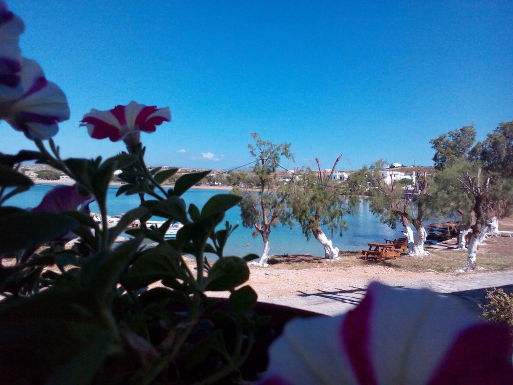 Hotel Bocamviglies By The Sea Naoussa Esterno foto