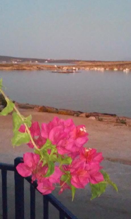 Hotel Bocamviglies By The Sea Naoussa Esterno foto